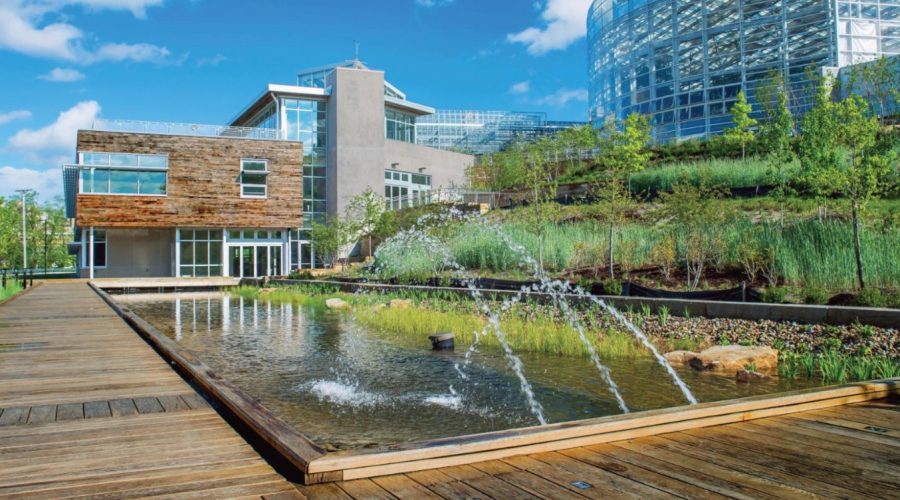 Làm thế nào để cân nhắc giữa các tín chỉ mang lại giá trị ngắn hạn và dài hạn khi quyết định đầu tư?